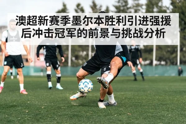 澳超新赛季墨尔本胜利引进强援后冲击冠军的前景与挑战分析